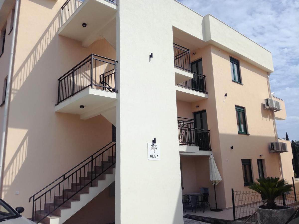 Olea Apartment Tivat Exterior photo