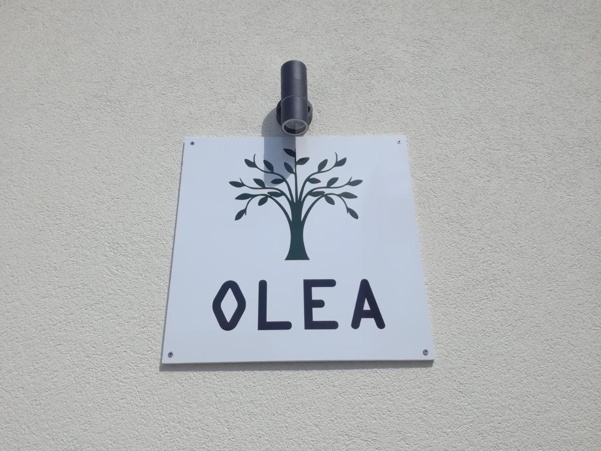 Olea Apartment Tivat Exterior photo